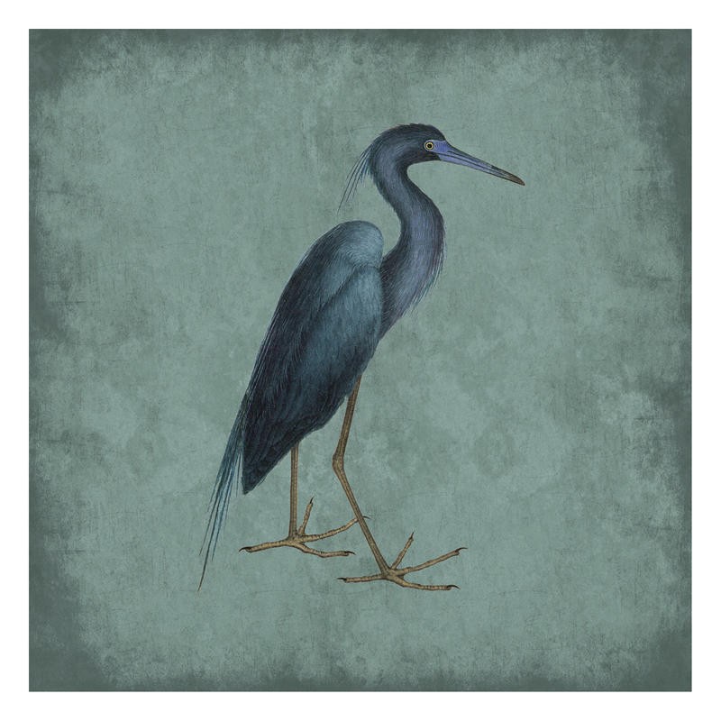 Sheldon Lewis, HERON IN GRAY (Stelzvogel, Reiher, Vogel, Tier, Studie, Ornithologie, Wohnzimmer, Treppenhaus, Wunschgröße, schwarz/grau)
