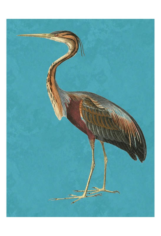 Sheldon Lewis, HERON IN MINT I (Stelzvogel, Reiher, Vogel, Tier, Studie, Ornithologie, Wohnzimmer, Treppenhaus, Wunschgröße, bunt)
