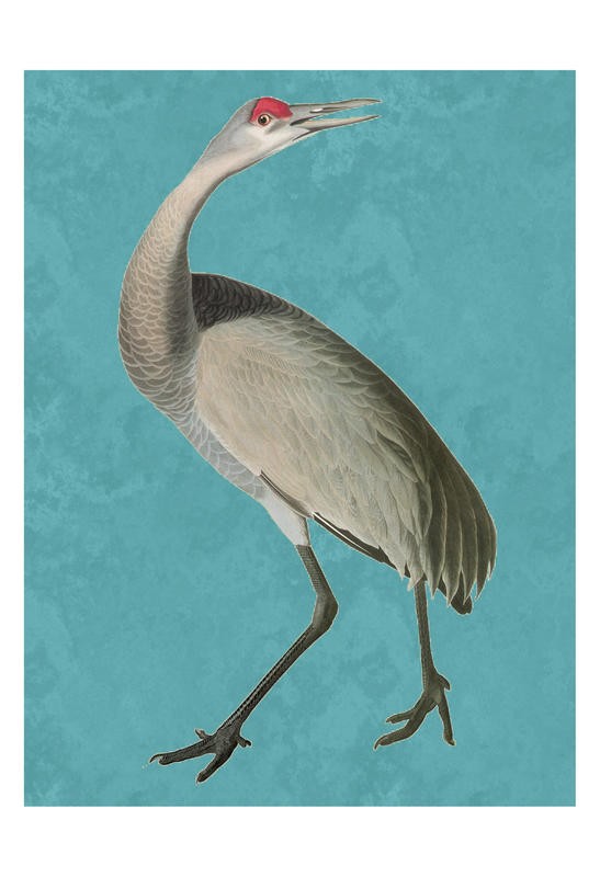 Sheldon Lewis, HERON IN MINT II (Stelzvogel, Reiher, Vogel, Tier, Studie, Ornithologie, Wohnzimmer, Treppenhaus, Wunschgröße, bunt)