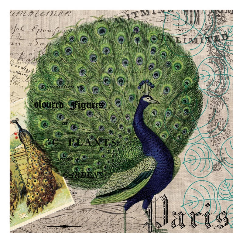 Tammy Repp, BOTANICAL REGISTER IV (VÖGEL)