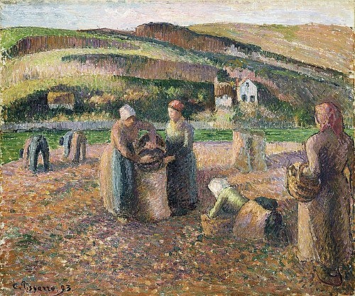 Camille Pissarro, Kartoffelernte. 1893 (Impressionismus,19. Jahrhundert,Öl auf Leinwand,1830-1903,Pissarro,Camille,Christie's Images Ltd,La Recolte Des Pommes De Terre, Camille Pissarro Kartoffeln Ernte ernten Herbst Feld Felder Bäuerin Landwirtschaft arbeiten, französischer impressionismus)