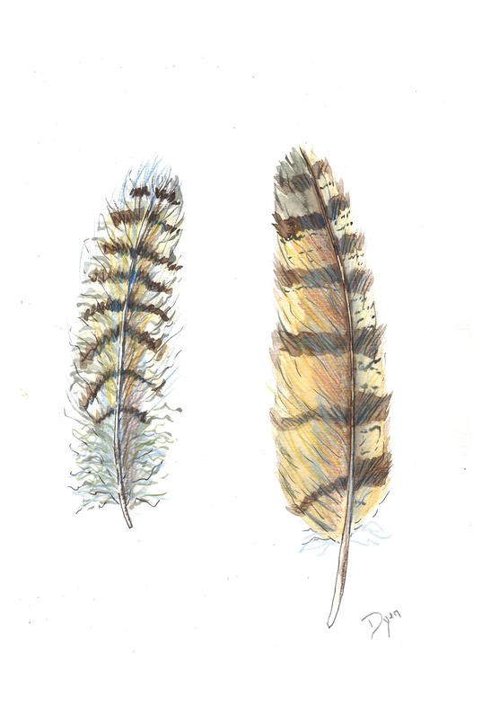 Beverly Dyer, FEATHER DUO I (Federn, Vogelfedern,  Schlafzimmer, Wohnzimmer, Treppenhaus, Malerei, Wunschgröße, grau/braun)
