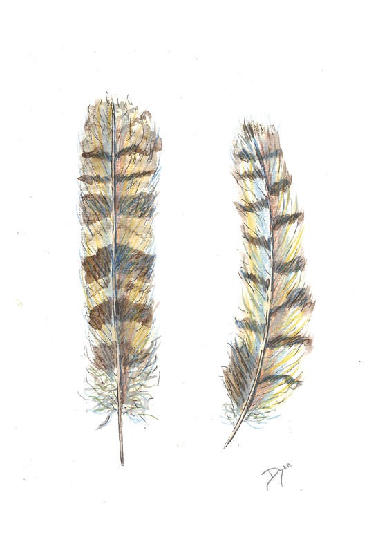 Beverly Dyer, FEATHER DUO II (Federn, Vogelfedern,  Schlafzimmer, Wohnzimmer, Treppenhaus, Malerei, Wunschgröße, grau/braun)