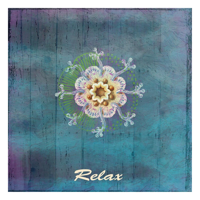 Sheldon Lewis, CALM + RELAX I (Qualle, Medusa, Meerestier, maritim, Holzpanel, Ruhe Entspannung, Motivation, Inspiration, Badezimmer, Treppenhaus, Grafik, Wunschgröße, bunt)