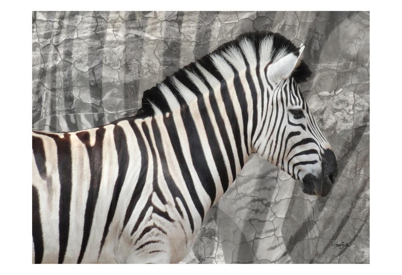Diane Stimson, INTO THE WILD I (Zebra, Tiere, Großwild, Streifen, modern, Grafik, Wunschgröße, Wohnzimmer, Treppenhaus, schwarz/weiß)