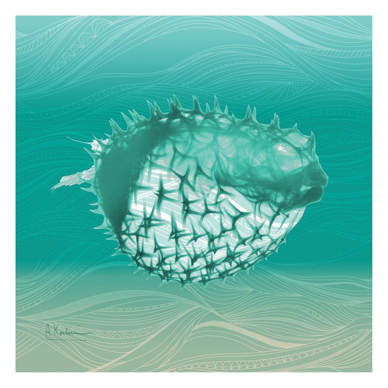 Albert Koetsier, AQUATIC I (X-RAY)