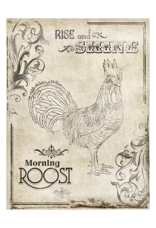 Jace Grey, RISE AND SHINE I (VÖGEL)