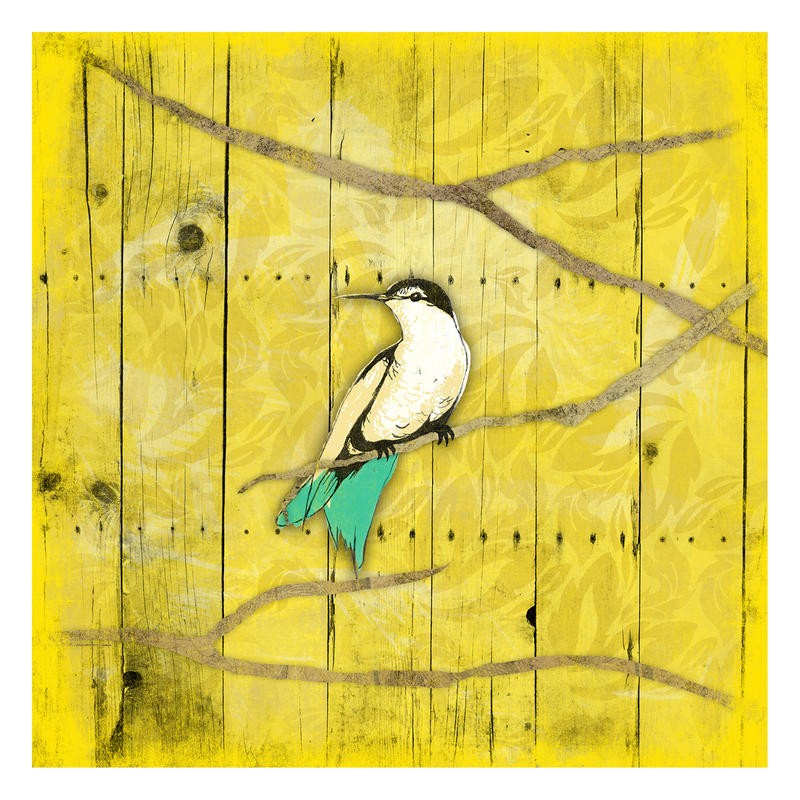 Jace Grey, HUE BIRD YELLOW I (VÖGEL)