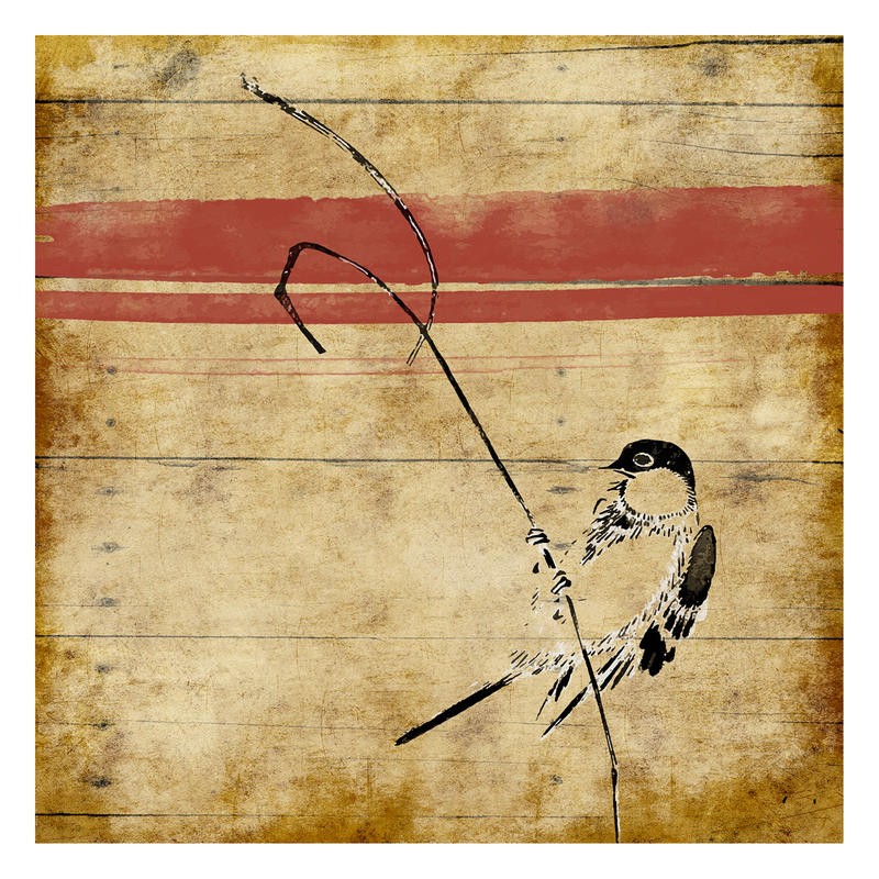 Jace Grey, WOOD BIRDS STRIPE I (VÖGEL)