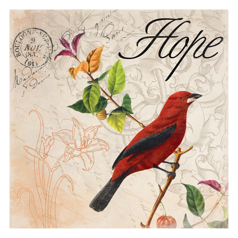 Jace Grey, BIRD POSTCARD III (VÖGEL)