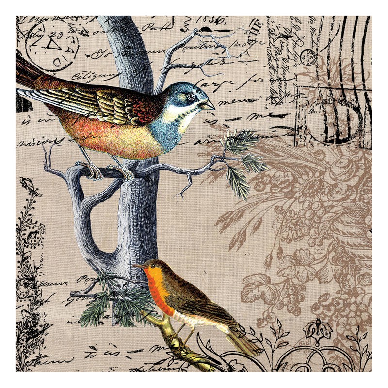 Tammy Repp, BOTANICAL POSTCARD II (VÖGEL)