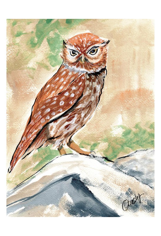 Anne Ormsby, THE SCREECH I (Eule, Vogel, Weisheit, Tierportrait, Malerei, Wunschgröße, Wohnzimmer, Treppenhaus, bunt)