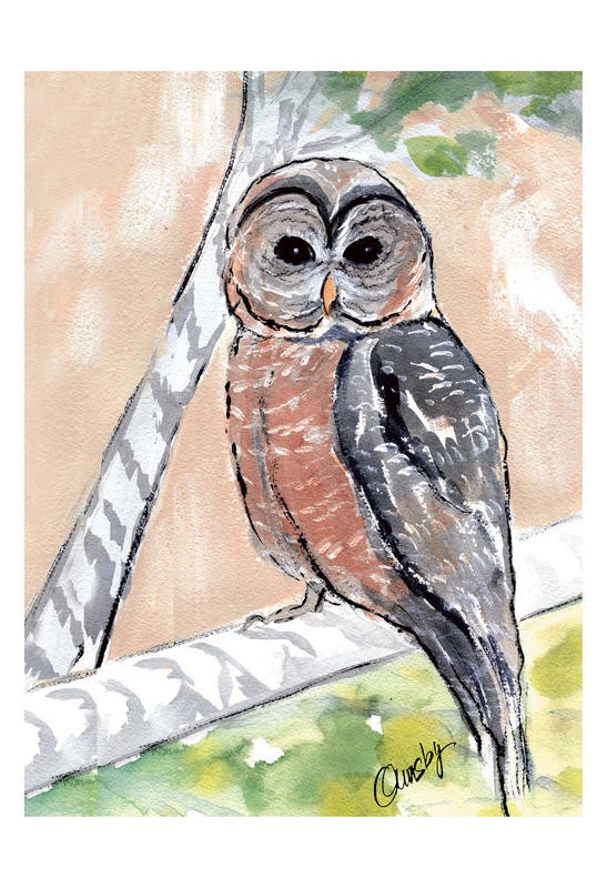 Anne Ormsby, THE SCREECH II (Eule, Vogel, Weisheit, Tierportrait, Malerei, Wunschgröße, Wohnzimmer, Treppenhaus, bunt)