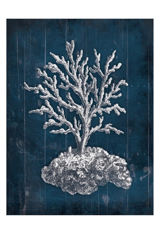 Jace Grey, CORAL II (Koralle, stilisiert, filigran, maritim, Meerestiere, blaue Paneele, Nostalgie, retro, Wunschgröße, Badezimmer, blau)