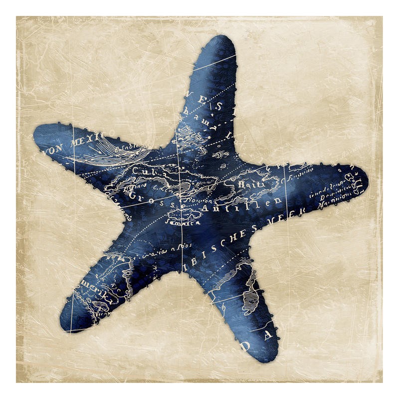 Jace Grey, MAP INDIGO STARFISH (Seestern, maritim, Meerestiere, Landkarte, Wunschgröße, Badezimmer, Treppenhaus, blau, beige)