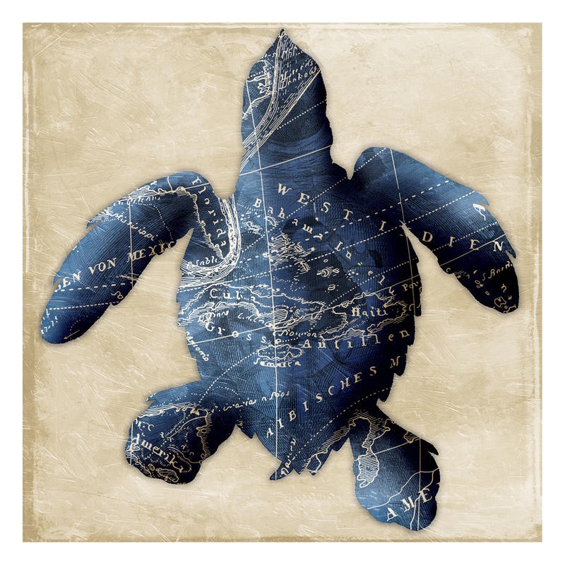Jace Grey, MAP INDIGO TURTLE (Schildkröte, maritim, Meerestiere, Landkarte, Wunschgröße, Badezimmer, Treppenhaus, blau, beige)
