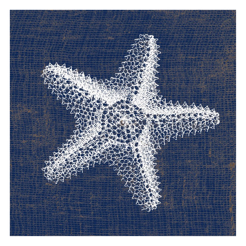 Sheldon Lewis, INDIGO BLUE I (Seestern, jeans, Struktur,  maritim, Meerestiere, Grafik, Badezimmmer, Treppenhaus, Wunschgröße, grau/blau)