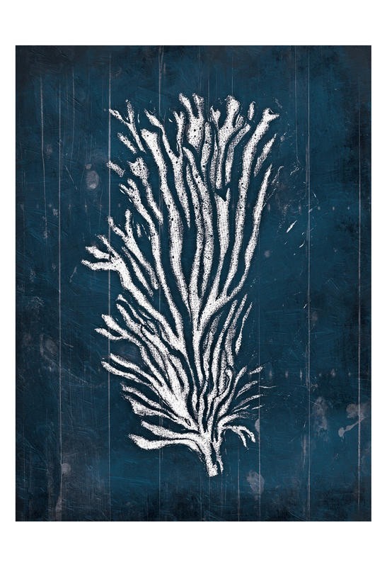 Jace Grey, CORAL III (Koralle, stilisiert, filigran, maritim, Meerestiere, blaue Paneele, Nostalgie, retro, Wunschgröße, Badezimmer, blau)