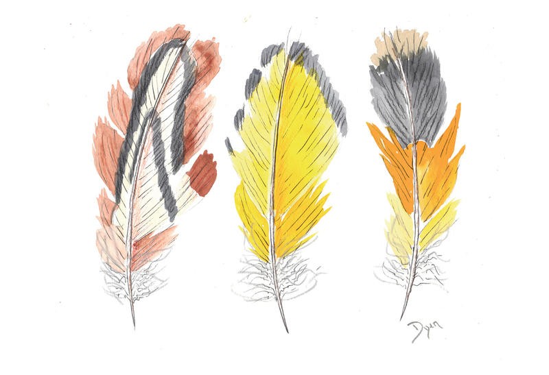 Beverly Dyer, EARTHSTONE FEATHERS I (Federn, Vogelfedern,  Schlafzimmer, Wohnzimmer, Treppenhaus, Malerei, Wunschgröße, bunt)