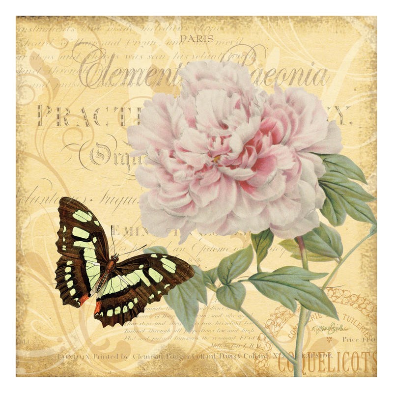 Diane Stimson, FLOWERS WITH BUTTERFLY (BLUMEN)