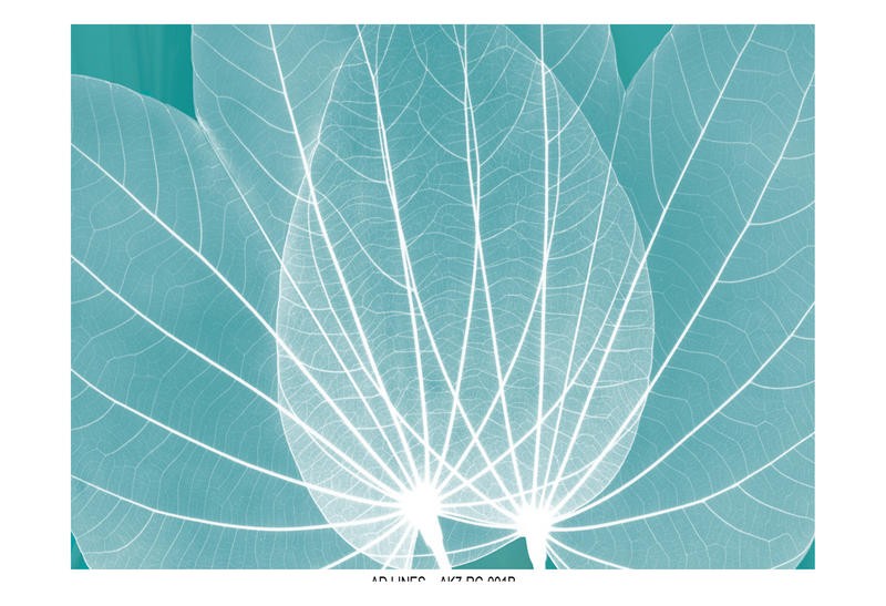 Albert Koetsier, TURQUOISE SET I (X-RAY)