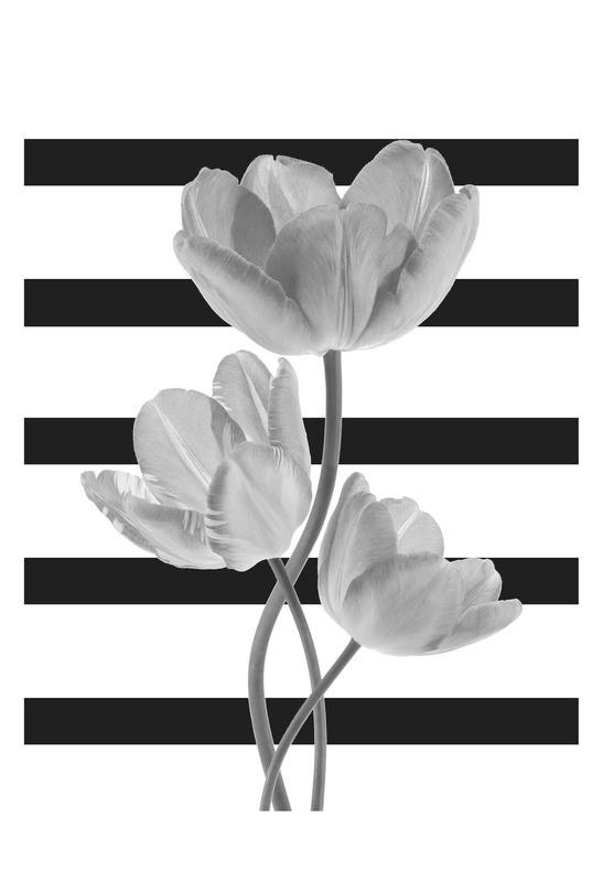 Sheldon Lewis, ROMANCE IN BLACK I (Tulpen, Blumen, Blüten, floral, Streifen, Balken, Fotokunst, Wohnzimmer, Treppenhaus, Wunschgröße, schwarz/weiß)
