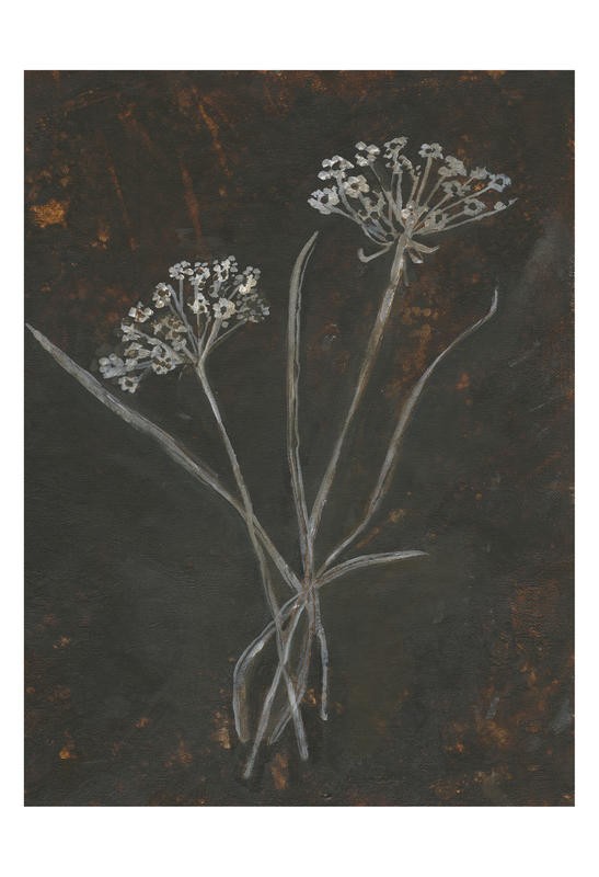 Smith Haynes, BLACK AND WHITE I (BOTANIK)