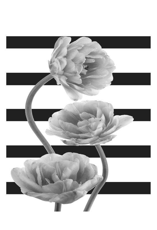 Sheldon Lewis, ROMANCE IN BLACK II (Tulpen, Blumen, Blüten, floral, Streifen, Balken, Fotokunst, Wohnzimmer, Treppenhaus, Wunschgröße, schwarz/weiß)