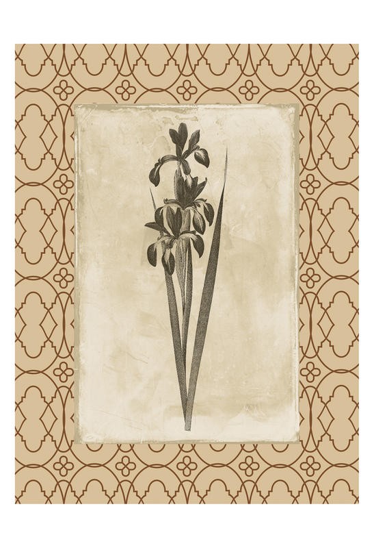 Jace Grey, EARTHY FLORAL BORDERED II (Lilie, Blume, stilisiert, Bilderrahmen, Bild im Bild, Ornamente, Muster, Wunschgröße, Treppenhaus)