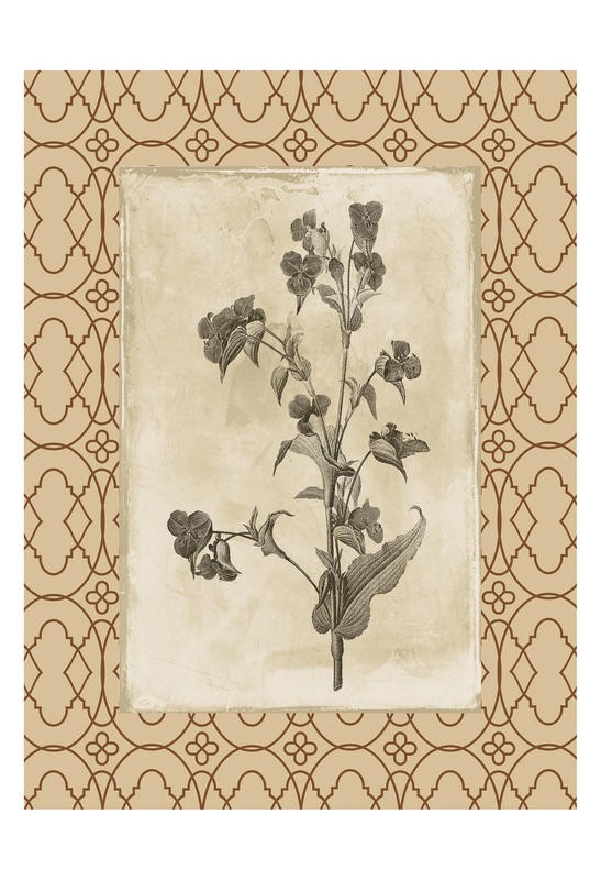 Jace Grey, EARTHY FLORAL BORDERED I (Blütenzweig, Blume, Blätter, stilisiert, Bilderrahmen, Bild im Bild, Ornamente, Muster, Wunschgröße, Treppenhaus)