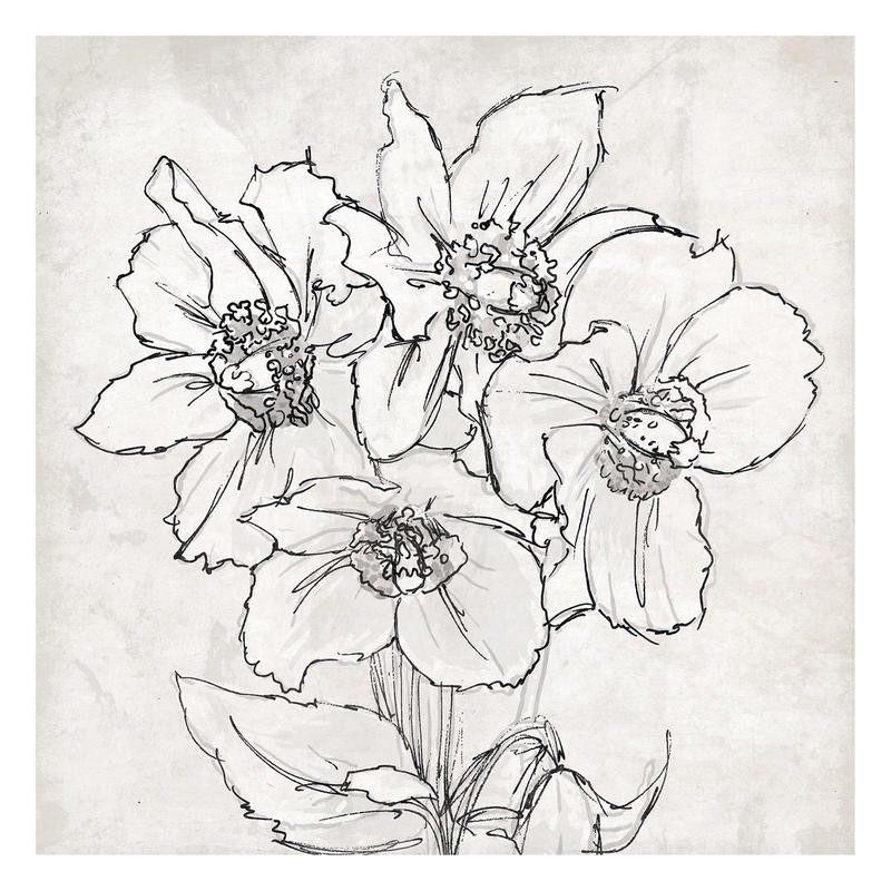 Onrei, SKETCH (BLUMEN)