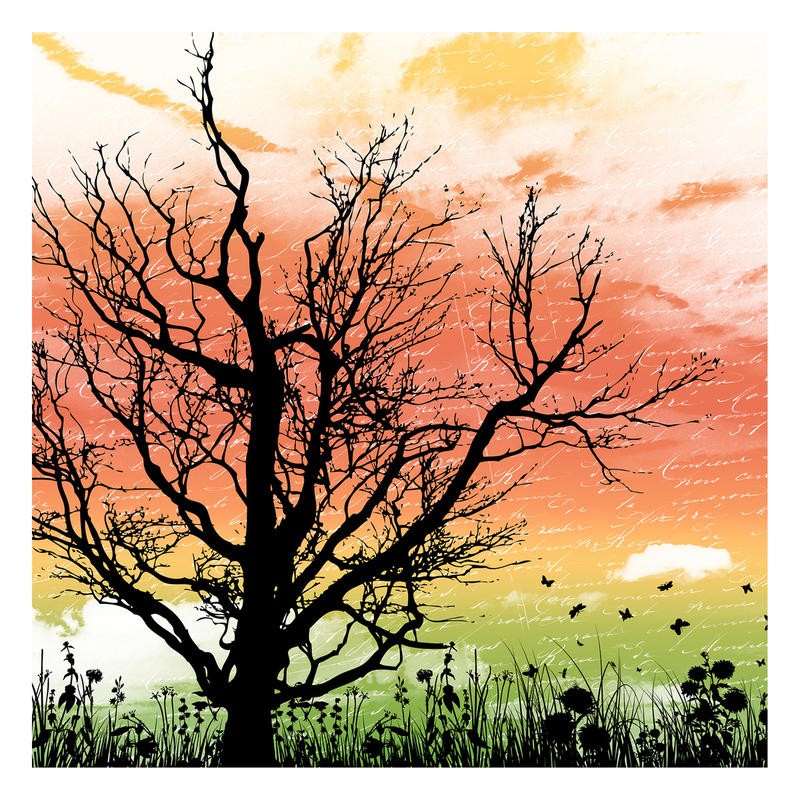 Jace Grey, SUNSET II (Baum, knorrig, Silhouetten, Wiese, Gräser, Wiesenblumen, Kalligrafie, Fotokunst, filigran, Wunschgröße, Wohnzimmer)