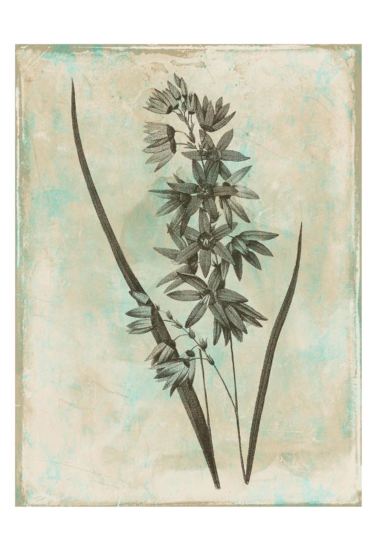 Jace Grey, EARTHY FLORAL GREEN III (Blüten, Blätter, Botanik, Blume, Studie, stilisiert, Wunschgröße, Treppenhaus, Esszimmer)