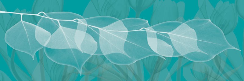Albert Koetsier, TURQUOISE PANEL I (X-RAY)