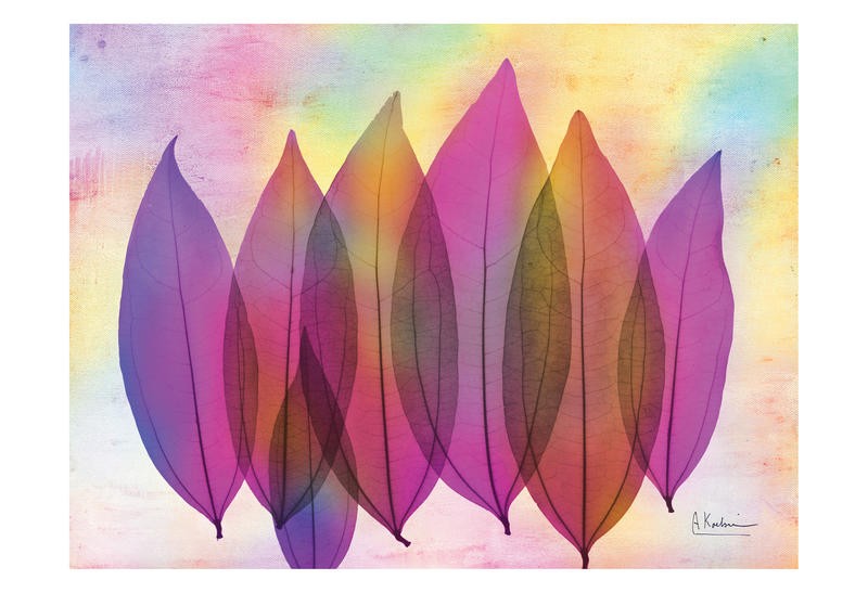 Albert Koetsier, POTPOURRI I (X-RAY)