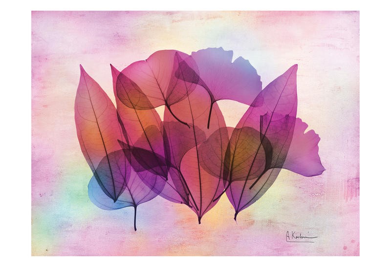Albert Koetsier, POTPOURRI II (X-RAY)