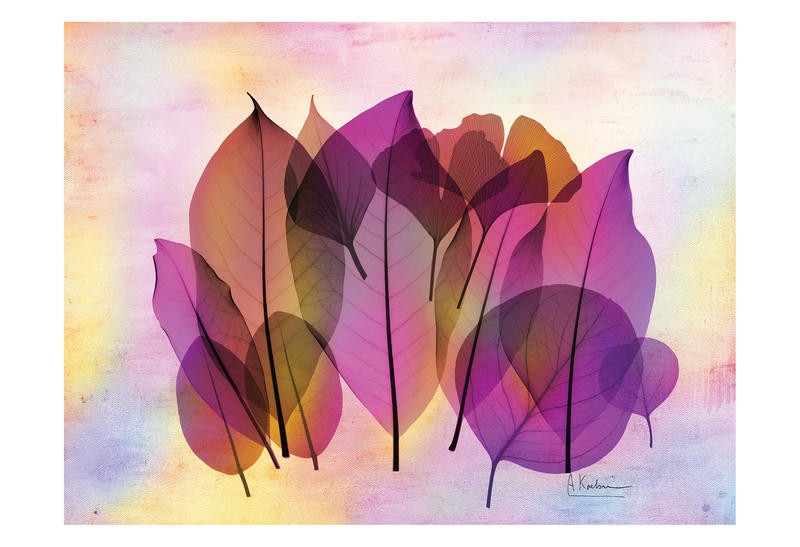 Albert Koetsier, POTPOURRI III (X-RAY)