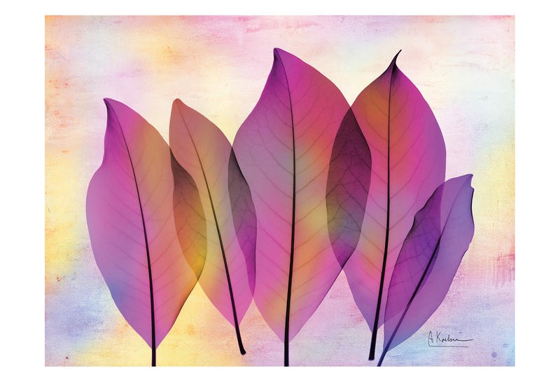 Albert Koetsier, POTPOURRI V (X-RAY)