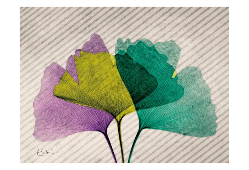 Albert Koetsier, PLAY OF COLORS I (X-RAY)