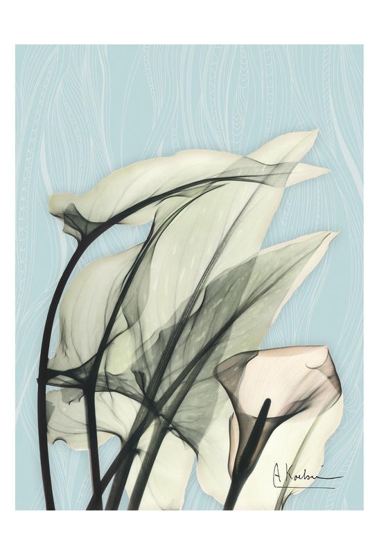 Albert Koetsier, MINT CLAY I (X-RAY)