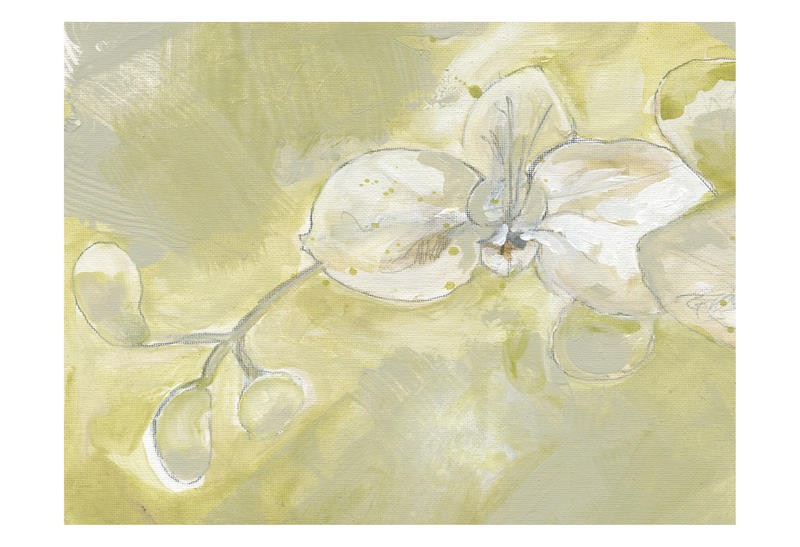 Smith Haynes, SOFT ORCHID I (BLUMEN)