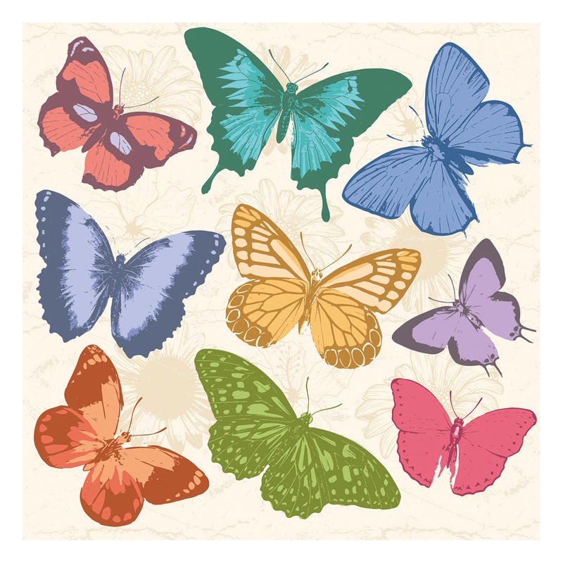 Jace Grey, COLORFUL BUTTERFLIES I (Schmetterlinge, Studie, Arten, flächig, Insekten, Wunschgröße, Grafik, Treppenhaus)