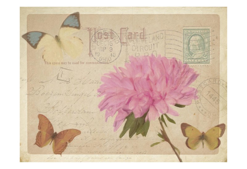 Taylor Greene, VINTAGE POSTCARD I (Postkartenmotiv, Blume, blüte, Schmetterlinge, romantisch, Vintage, Nostalgie, Grafik, Wunschgröße, Treppenhaus, Wohnzimmer)