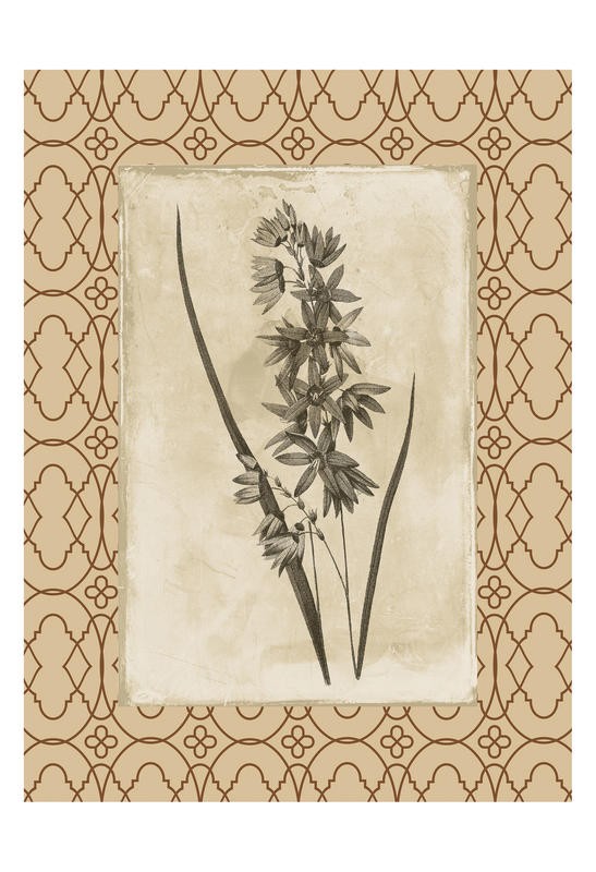 Jace Grey, EARTHY FLORAL BORDERED III (BOTANIK)