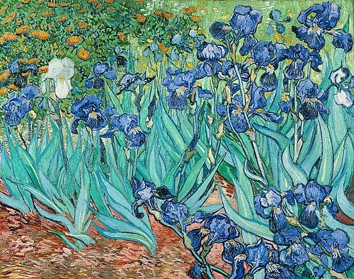 Vincent van Gogh, Iris. 1889 (Blüten, Blumen, Schwertlilie, Garten, Blumenbeet, Klassische Moderne, Impressionismus, Wohnzimmer, Treppenhaus, Wunschgröße, bunt)
