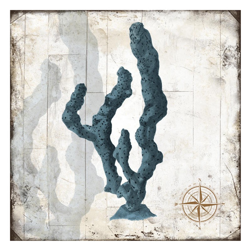 Jace Grey, WOOD CORALS I (MARITIM)