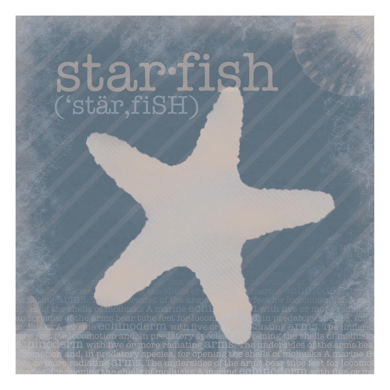 Lauren Gibbons, DEFINITION STARFISH (Seestern, Typografie, plakativ, Silhouette, modern, maritim, Wunschgröße, Grafik, Küche, Esszimmer, blau/beige)