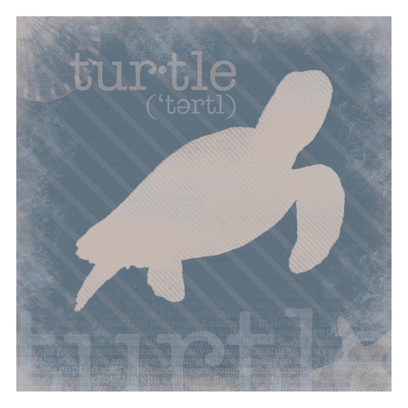 Lauren Gibbons, DEFINITION TURTLE (Schildkröte, Typografie, plakativ, Silhouette, modern, maritim, Wunschgröße, Grafik, Küche, Esszimmer, blau/beige)