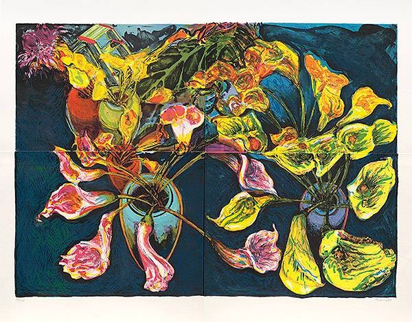 Tadeusz Norbert Calla-Pape, vierteilig (Lithographie, handsigniert, nummeriert) (Pflanzen, bl+üten, Aufsicht, perspektive, Original, signiert, Grafik, modern, Wohnzimmer, Treppenhaus, bunt)