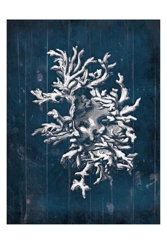 Jace Grey, CORAL VI (Koralle, stilisiert, filigran, maritim, Meerestiere, blaue Paneele, Nostalgie, retro, Wunschgröße, Badezimmer, blau)
